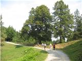 Sv. Andrej - Sveti Ožbolt (above Zminec)